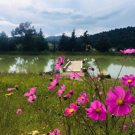 Cabanas Tapalpa Sierra Del Tecuan, Cabana Lince 외부 사진