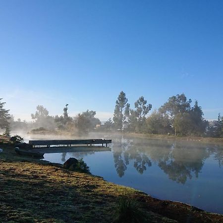 Cabanas Tapalpa Sierra Del Tecuan, Cabana Lince 외부 사진