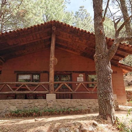 Cabanas Tapalpa Sierra Del Tecuan, Cabana Lince 외부 사진