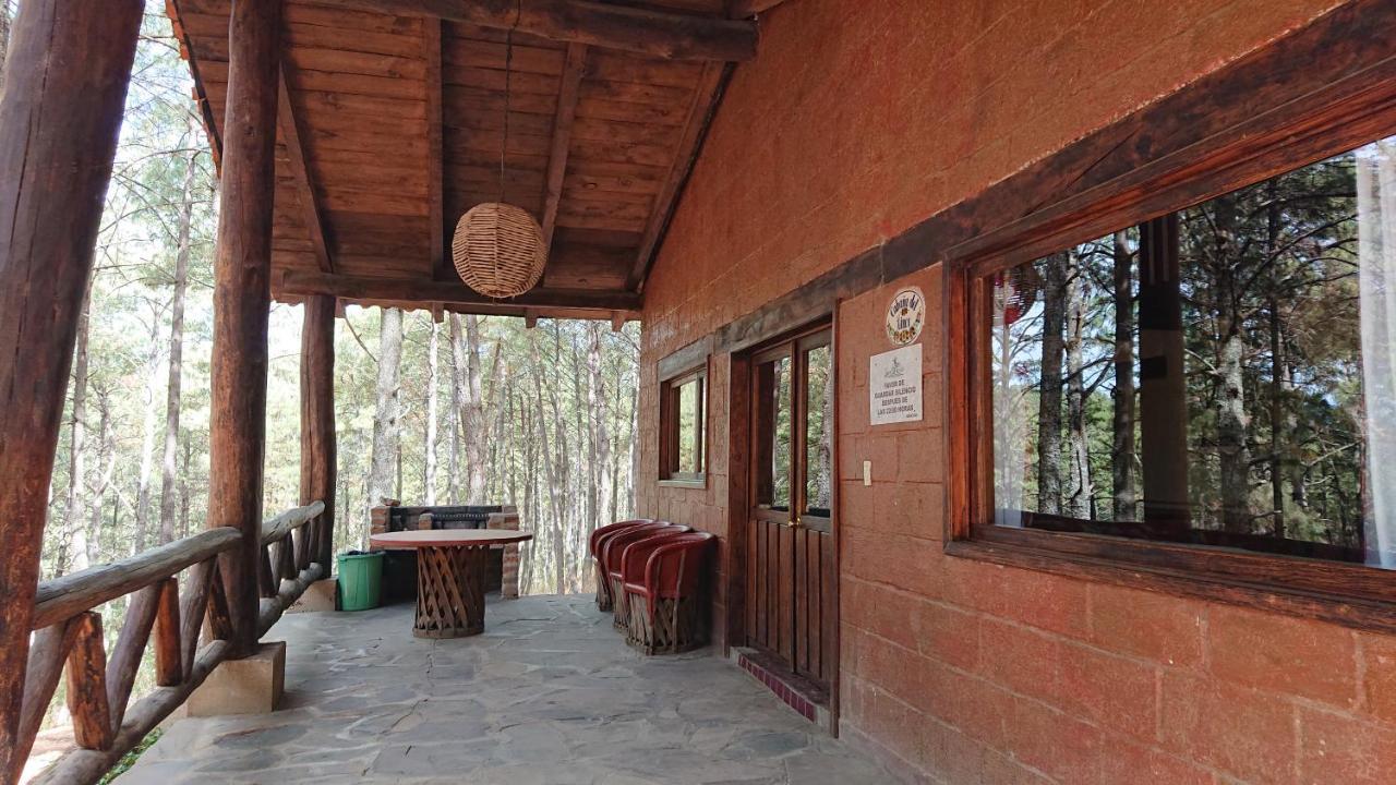 Cabanas Tapalpa Sierra Del Tecuan, Cabana Lince 외부 사진