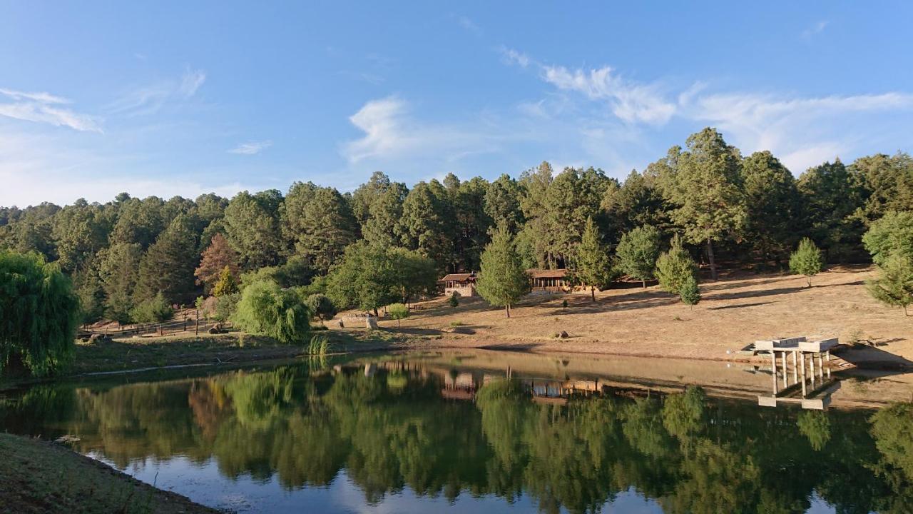 Cabanas Tapalpa Sierra Del Tecuan, Cabana Lince 외부 사진