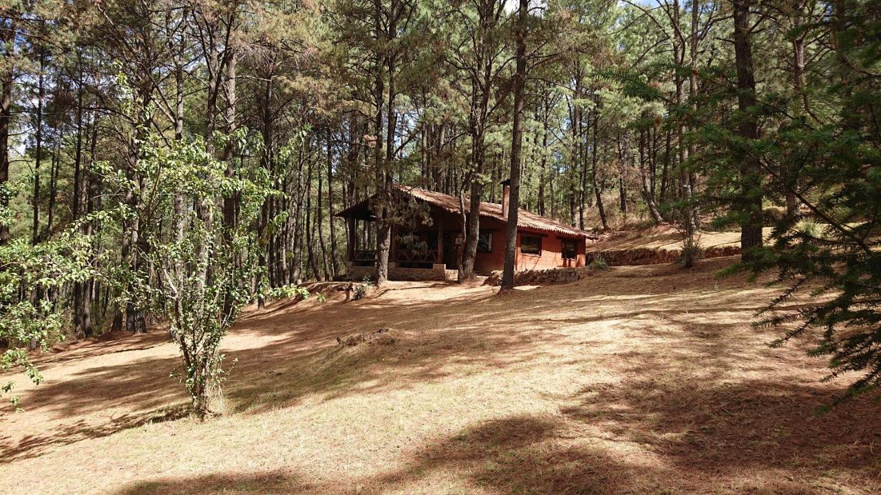 Cabanas Tapalpa Sierra Del Tecuan, Cabana Lince 외부 사진