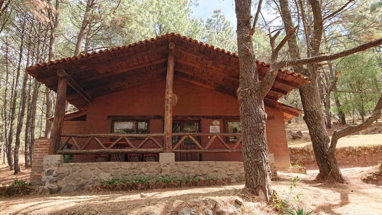 Cabanas Tapalpa Sierra Del Tecuan, Cabana Lince 외부 사진