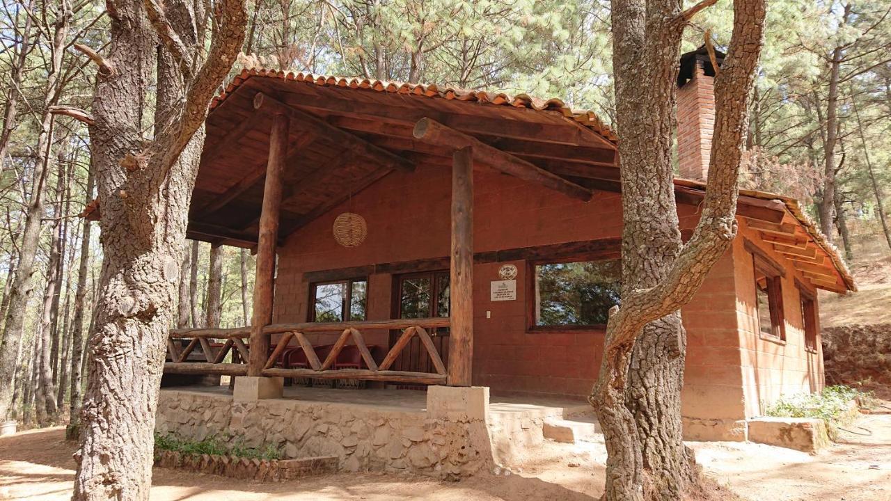 Cabanas Tapalpa Sierra Del Tecuan, Cabana Lince 외부 사진